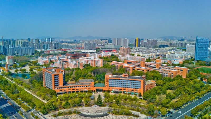 线路板加工：揭秘十大品牌背后的实力与标准**