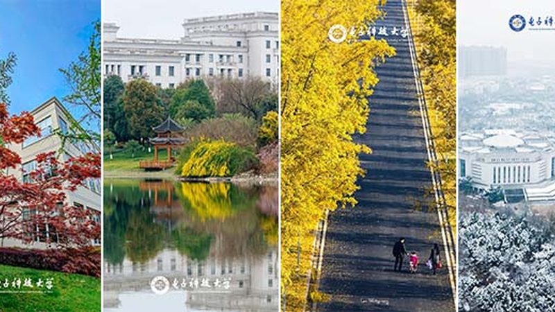 深圳电子代工：揭秘代工过程中的关键注意事项**