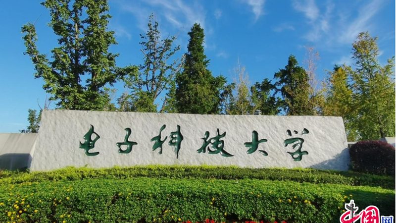 电子加工合同模板：关键要素与选择指南